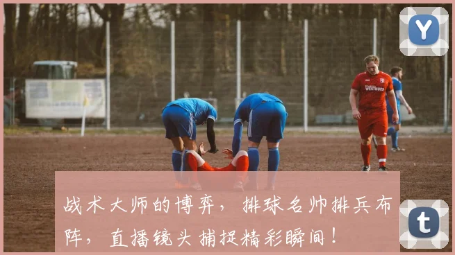 战术大师的博弈，排球名帅排兵布阵，直播镜头捕捉精彩瞬间！