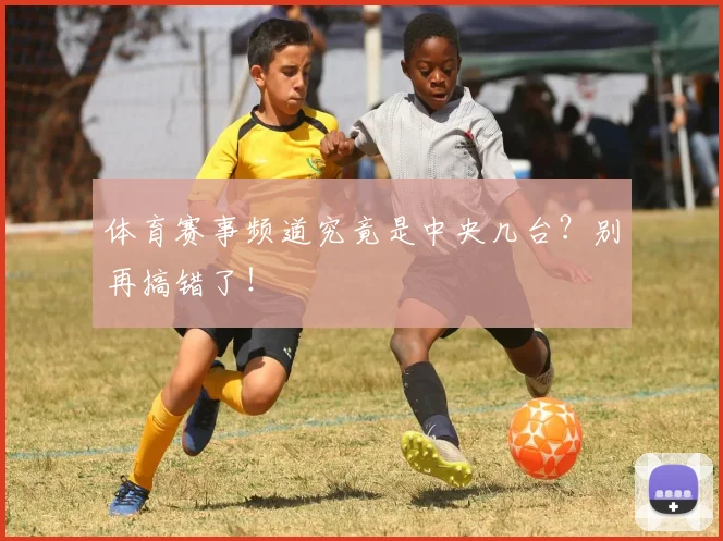 体育赛事频道究竟是中央几台?别再搞错了!